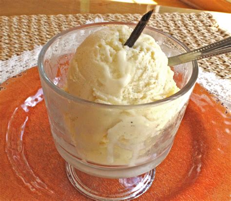 Love Vanilla Bean Gelato? Learn How to Make it At Home! – Homemade ...