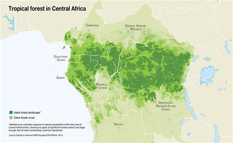 Tropical forest in Central Africa | The Congo Basin rainfore… | Flickr