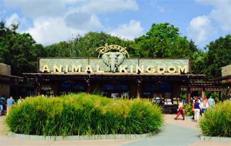 Wild Africa Trek: Disney's Animal Kingdom Behind the Scenes - Polka Dots and Pixie Dust Disney ...