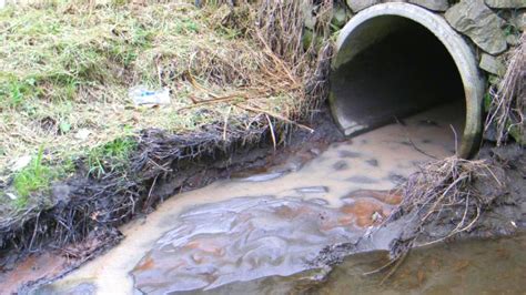 What Causes A Blocked Stormwater Drain? - Gold Coast Plumbing Company