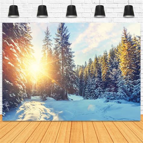 Winter Forest Snow Sunshine Scenery Backdrop M11-63 – Dbackdrop