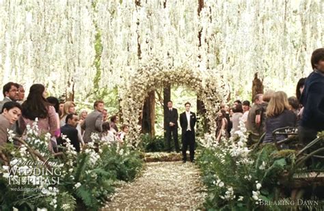 Edward Cullen At The Wedding