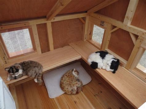 feral cat colony shelters - Karon Thacker