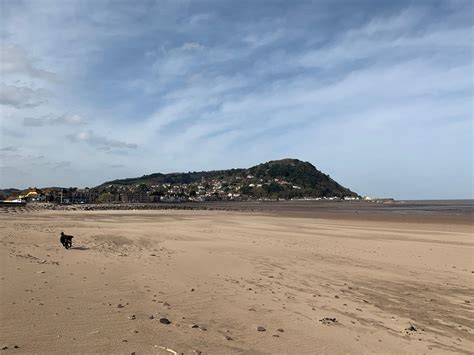 Minehead Beach - Bristol dog walk - Bristol Barkers