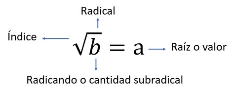 Raíz cuadrada - Definición, partes, ejemplos y como estimarlas