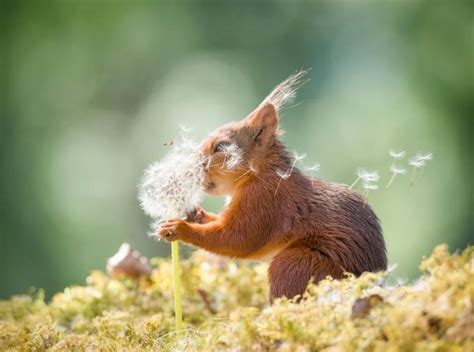 62 Powerful Shots Of Wind In Nature That Will Blow You Away - VIEWBUG.com