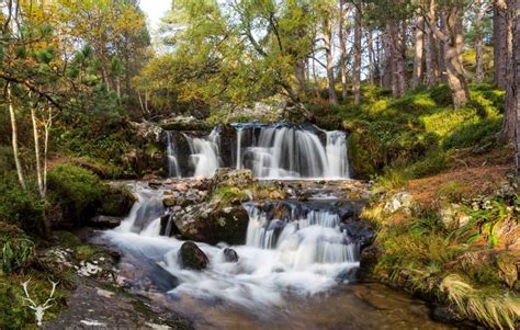 Cairngorms, Scotland, Parks, Waterfalls, Trees, HD Wallpaper | Rare Gallery