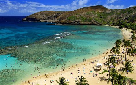 Hanalei Beach (Hawaii) | Oahu hawaii, Oahu, Honolulu