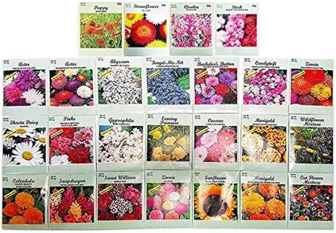 Option for Flower Seed Packets Zinnias, Pansies, Flower Seeds, Flower ...