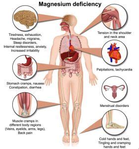 Magnesium Deficiency: Causes, Symptoms, and Treatment Options