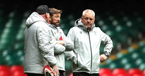 The verdict on Wales' World Cup squad as few see big call coming and ...