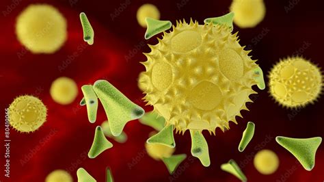 two types of pollen Stock Illustration | Adobe Stock