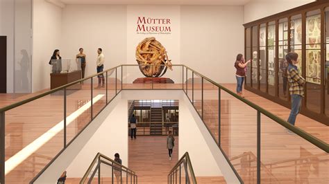 Mütter Museum to double its display of medical history - WHYY