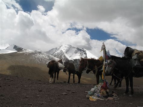 Trekking,Expedition and Family Holiday in Ladakh., Leh Ladakh, India Hiking & Trekking ...