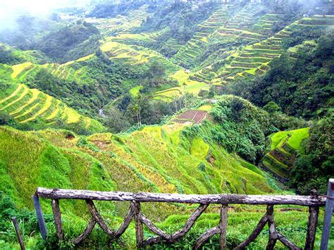 Banaue Rice Terraces | Tour Philippines