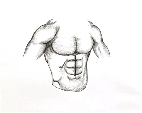 How To Draw Abs Really Easy Drawing Tutorial | Images and Photos finder