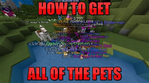 How To Get All Of The Pets | Hypixel SkyBlock - YouTube