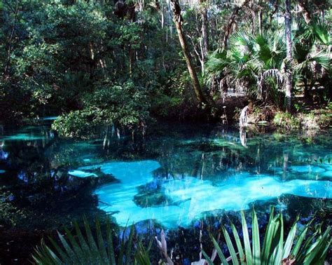 Juniper Springs This central Florida gem, located at Ocala National ...