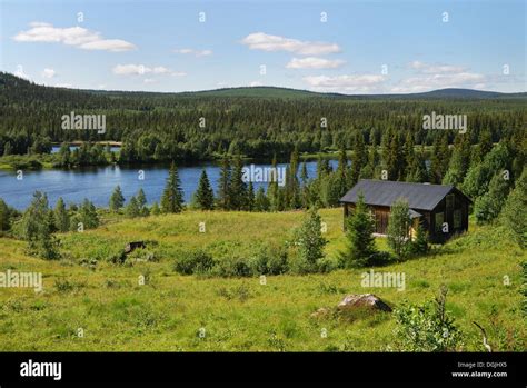 Taiga forest hi-res stock photography and images - Alamy