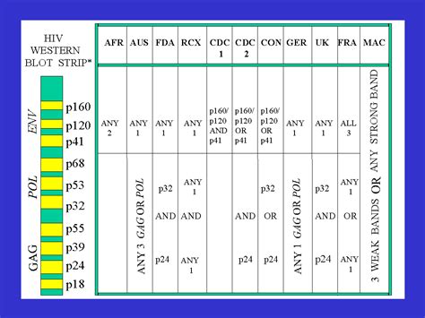 Criteria defining a positive HIV Western blot