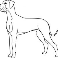 Dog Silhouette Tattoo at GetDrawings | Free download