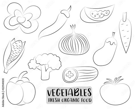 Vegetables icons set in a hand drawn cartoon style. Natural organic food for restaurant menu ...