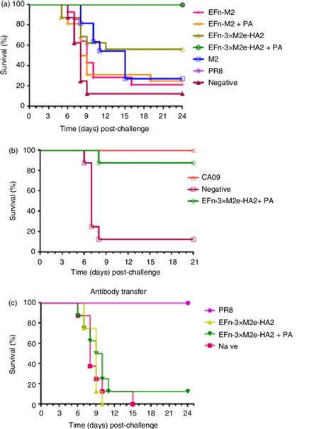 Survival of vaccinated mice following lethal challenge with influenza ...