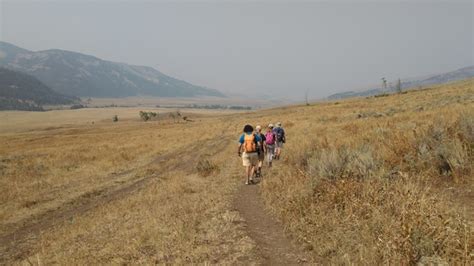 Lamar Valley - Hike the Lamar River Trail in Yellowstone National Park