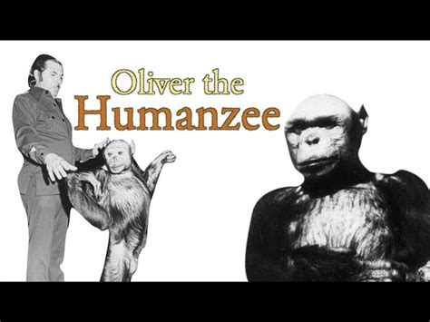 Oliver Chimpanzee Humanzee