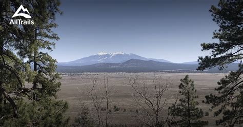 Best Trails in Kaibab National Forest - Arizona | AllTrails