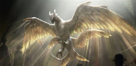 Thunderbird | Harry Potter Wiki | Fandom