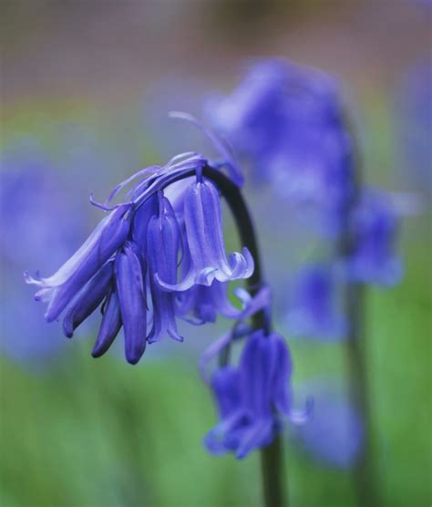 Hiking in Switzerland in the Spring