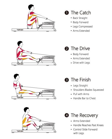 Indoor Rowing Techniques for Rowing Workout Beginners • Topiom Rowing ...