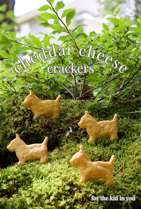 homemade cheddar cheese crackers - The Culinary Chase