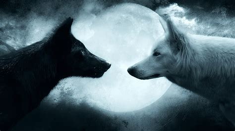 3200x900px | free download | HD wallpaper: two black and white wolves wallpaper, wolf, couple ...