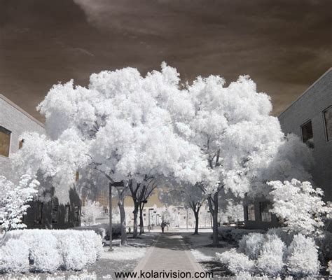 INFRARED PHOTOGRAPHY FALSE COLOR TUTORIAL – Kolari Vision