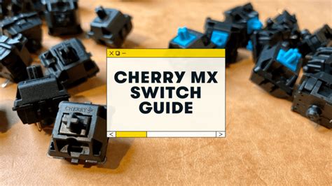 Cherry MX Switches: A Complete Guide & Comparison (2023)