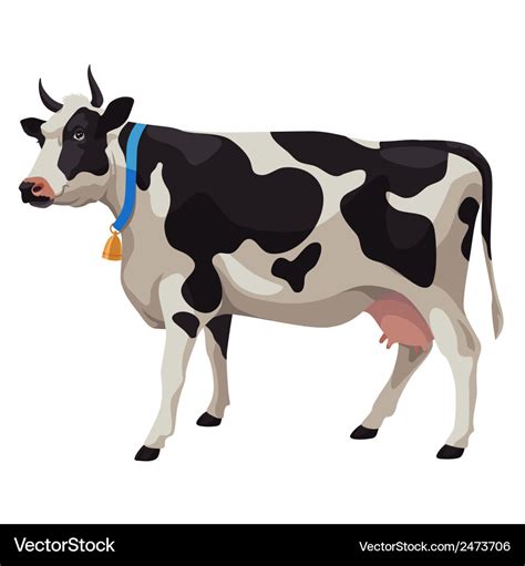 Black and white cow side view isolated Royalty Free Vector