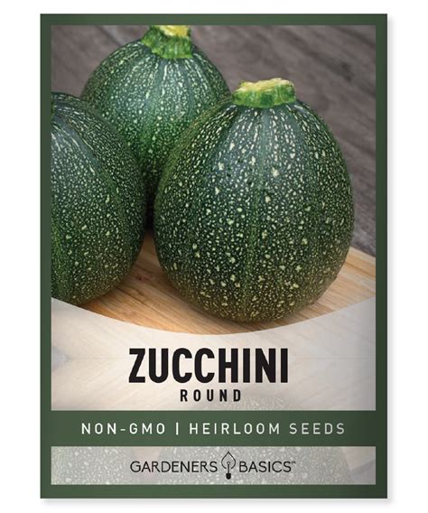 Round Zucchini Seeds For Planting Grow Delicious Nutritious Vegetables ...