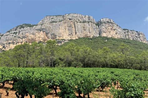 Languedoc-Roussillon wine region - Decanter