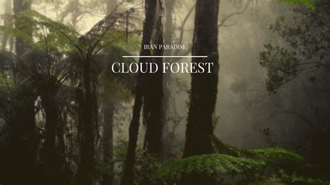 Jangal-e Abr (Cloud Forest) is one of the oldest and most beautiful forests