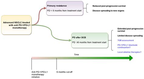 Cancers | Free Full-Text | Longitudinal Study of Advanced Non-Small Cell Lung Cancer with ...