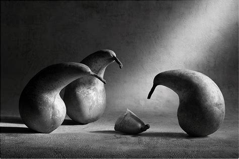 26 Imaginative Images of Inanimate Objects | Still life photography, Black, white photography ...