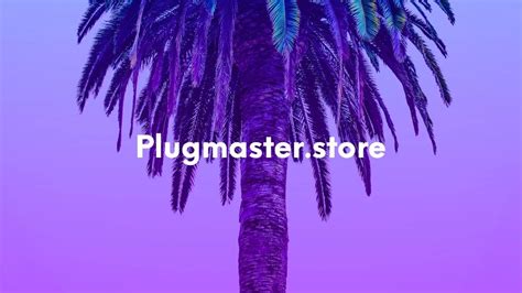 plugmaster.store