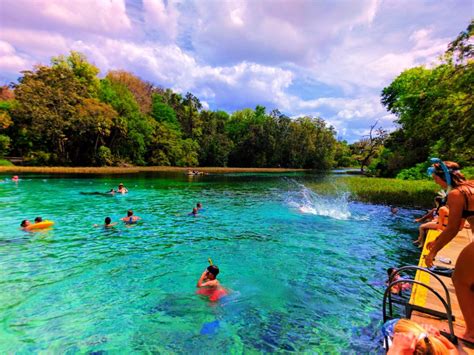 Swimming platform at Rainbow Springs Florida State Park 3 - 2 Travel Dads