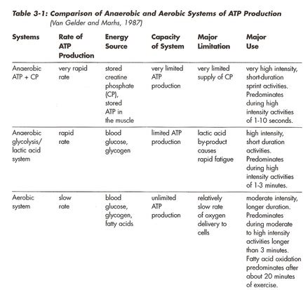 Energy Systems Part One: Aerobic Energy System - Lisa A. Workman M.A.