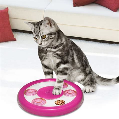 Buy Pawise Cat Puzzle Toy 26 cm (Assorted) | توصيل Taw9eel.com