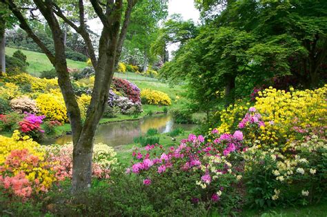 Leonardslee Lakes & Gardens in Sussex reopens after major restoration project | News | Group ...