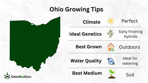 Best Strains To Grow In Ohio