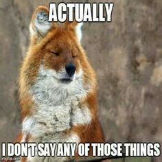 What does the fox say? Funny Animal Pictures, Animal Funnies, Animal Pics, Animal Memes, Fox ...